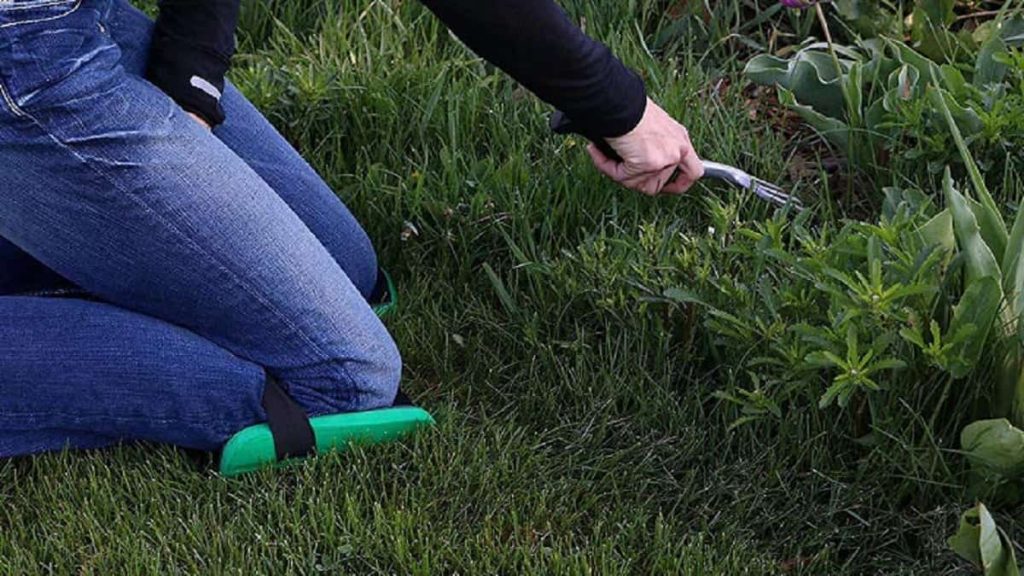 Knee pads for easier gardening in the backyard
